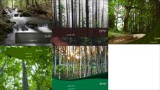پنج قالب پاورپوینت با موضوع جنگل